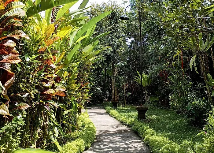 Anggi Ubud * Tegallalang (Bali)